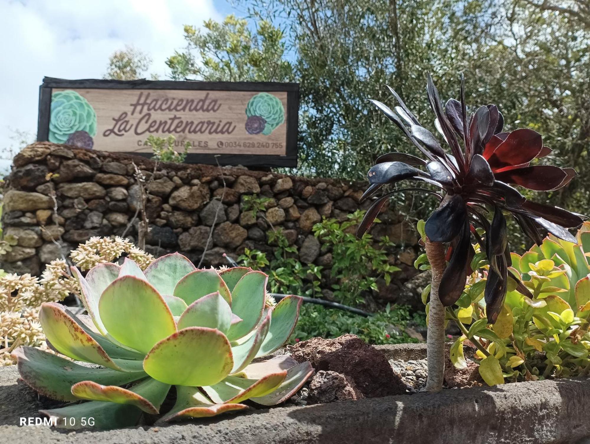 Hacienda La Centenaria,Casas Rurales El Paso Buitenkant foto